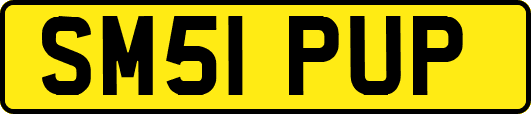 SM51PUP