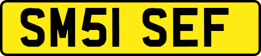 SM51SEF