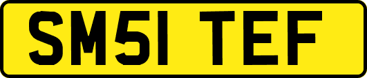 SM51TEF