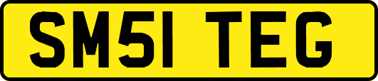 SM51TEG
