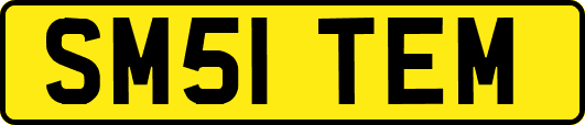SM51TEM