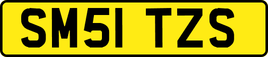 SM51TZS
