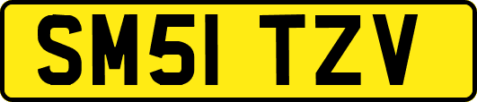 SM51TZV