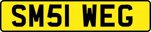 SM51WEG