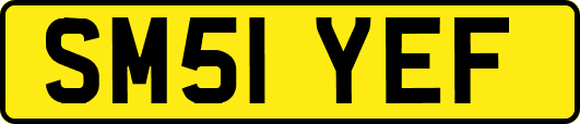 SM51YEF
