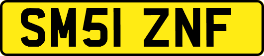 SM51ZNF