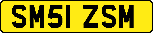 SM51ZSM