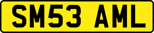 SM53AML