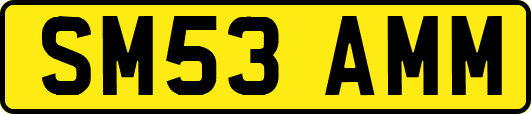 SM53AMM