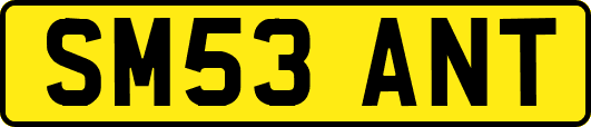SM53ANT