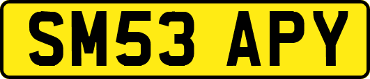 SM53APY
