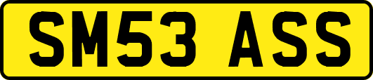 SM53ASS
