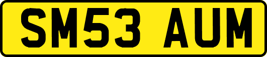 SM53AUM