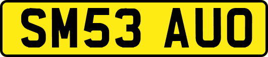SM53AUO