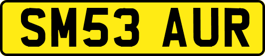 SM53AUR