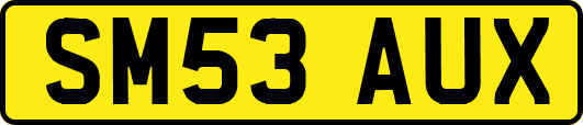 SM53AUX