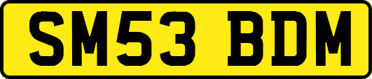 SM53BDM