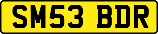 SM53BDR