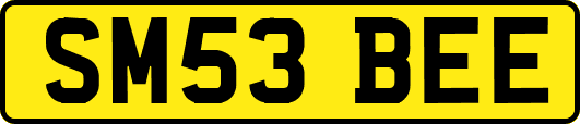 SM53BEE