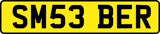 SM53BER
