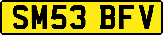 SM53BFV