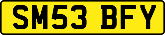 SM53BFY