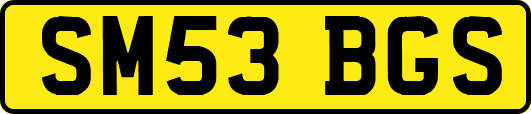 SM53BGS