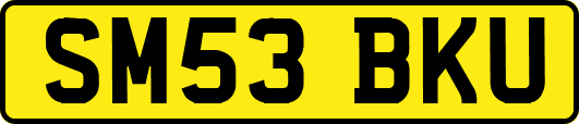 SM53BKU