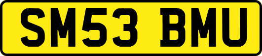 SM53BMU
