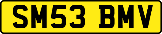 SM53BMV