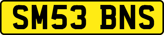 SM53BNS