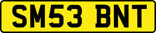 SM53BNT