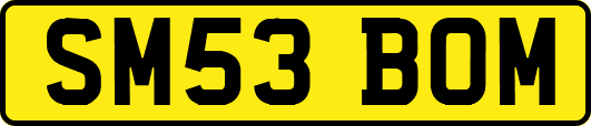 SM53BOM