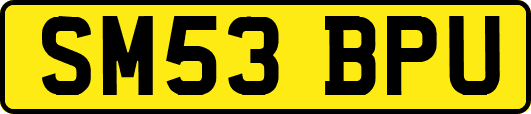 SM53BPU