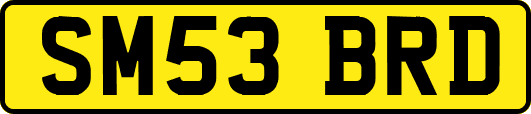 SM53BRD