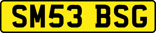 SM53BSG