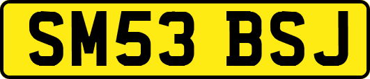 SM53BSJ