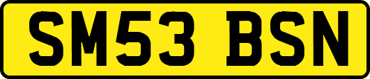 SM53BSN