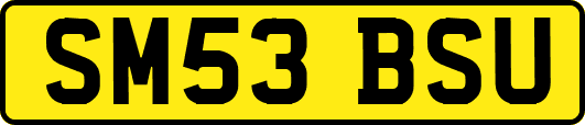 SM53BSU
