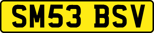 SM53BSV