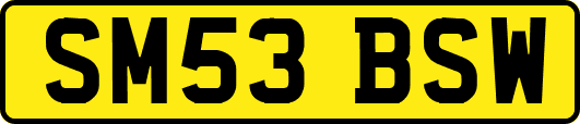 SM53BSW