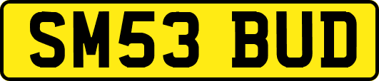 SM53BUD