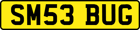 SM53BUG