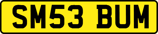 SM53BUM