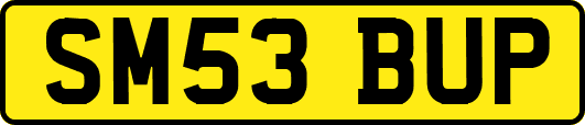 SM53BUP