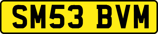 SM53BVM