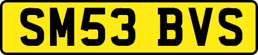 SM53BVS