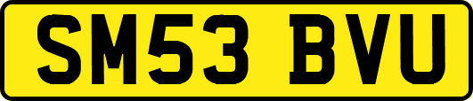 SM53BVU