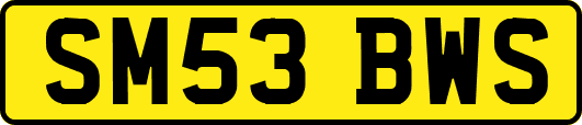 SM53BWS