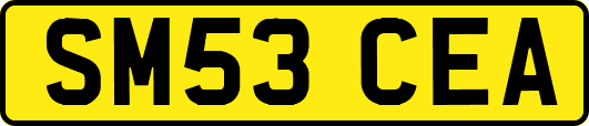 SM53CEA